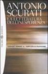 La letteratura dell'inesperienza. Scrivere romanzi al tempo della televisione