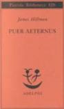 Puer Aeternus (Opere di James Hillman)