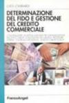 Determinazione del fido e gestione del credito commerciale. Come realizzare un sistema aziendale per l'organizzazione dell'ufficio crediti: concessione fidi...