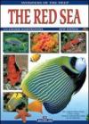 Mar Rosso. Ediz. inglese