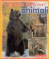 Il grande libro degli animali