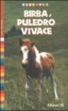 Birba, puledro vivace