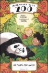 Un panda per amico