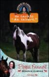 Un cavallo da salvare. Storie di cavalli. 13.