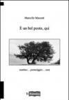 E un bel posto qui. Mattino... pomeriggio... sera