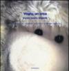 Voglio un orso. Bianco, tenero, elegante. I bambini di Cosenza scrivono a Babbo Natale