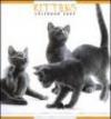 Kittens. Calendario 2005