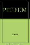 Pilleum. Temi latini di versione per il 2º ciclo delle Scuole superiori