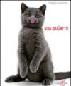 Vita da gatti