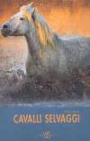 Cavalli selvaggi