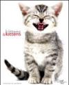 Kittens & kittens. Ediz. illustrata