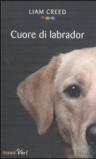 Cuore di labrador