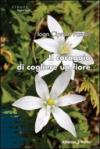 Il coraggio di cogliere un fiore