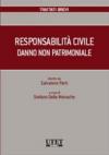 Responsabilità civile. Danno non patrimoniale