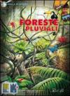 Foreste pluviali