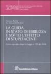 La guida in stato di ebbrezza e sotto l'effetto di stupefacenti