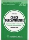 Codice dell'ambiente