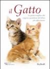 Gatto (Il)