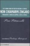 Non Chiamarmi Zingaro. Perseguitati e diversi da sempre, a loro la parola