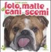 Foto matte di cani scemi