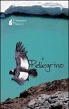 Il pellegrino