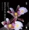 Orchidee spontanee tra Marcarolo la Val Lemme e il Piota. Ediz. illustrata