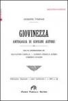 Giovinezza. Antologia di giovani autori