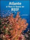 Atlante di flora e fauna del reef
