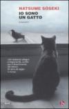 Io sono un gatto