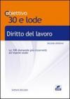 Diritto del lavoro. Le 100 domande più ricorrenti all'esame orale
