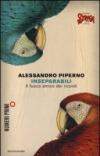 Inseparabili. Il fuoco amico dei ricordi