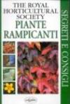 Piante rampicanti