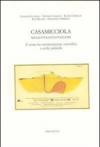 Casamicciola 1883. Il sisma tra interpretazione scientifica e scelte politiche