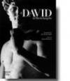 Il David di Michelangelo. Ediz. inglese