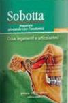 Sobotta. Giocando con l'anatomia. Ossa, legamenti e articolazioni