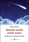 Quella stella nella notte. Meditazioni sui Vangeli di Natale