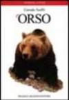 L'orso