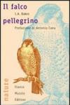 Il falco pellegrino