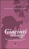 Giacinti selvaggi: Sogni, amori, spregiudicatezza e intrighi. Storie di donne oltre la storia. (CONCEPTS Letteratura)