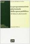 La programmazione pluriennale della spesa pubblica. Il bilancio pluriennale