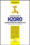 H2Oro. Come e perché l'acqua italiana rischia di essere strappata dal controllo pubblico e regalata agli interessi oscuri di banche d'affari e fondi d'investimento..