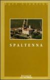 Spaltenna. (La Pieve e il suo piviere)
