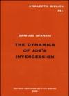 The Dynamics of Job's intercession