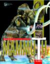 Mammuth & Co.