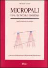 Micropali e pali di piccolo diametro. Aspetti progettuali e tecnologici