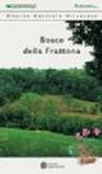 Riserva naturale orientata Bosco della Frattona