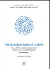 Archeologia urbana a Siena. L'area dell'Ospedale di Santa Maria della Scala prima dell'ospedale. Altomedioevo