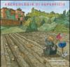 Archeologia di superficie