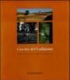 Cascine del lodigiano. Storia, vita e architettura di un paesaggio. Ediz. illustrata
