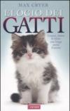 Elogio dei gatti
